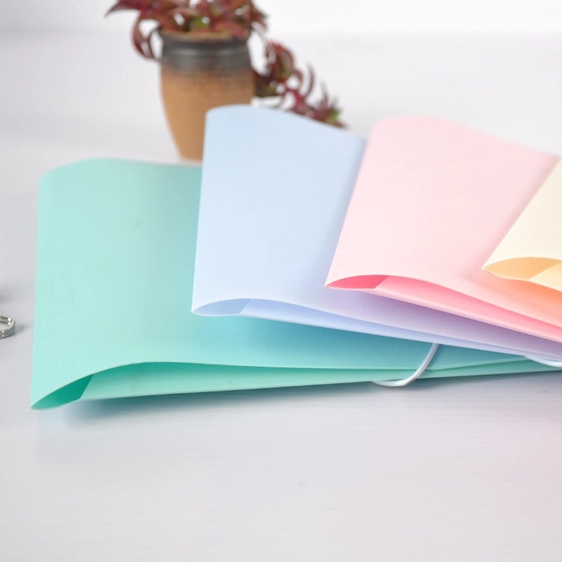 Cute and Functional Clear File Box, Papers Storage for Students and Artists – Plastic File Box and Papers Storage price