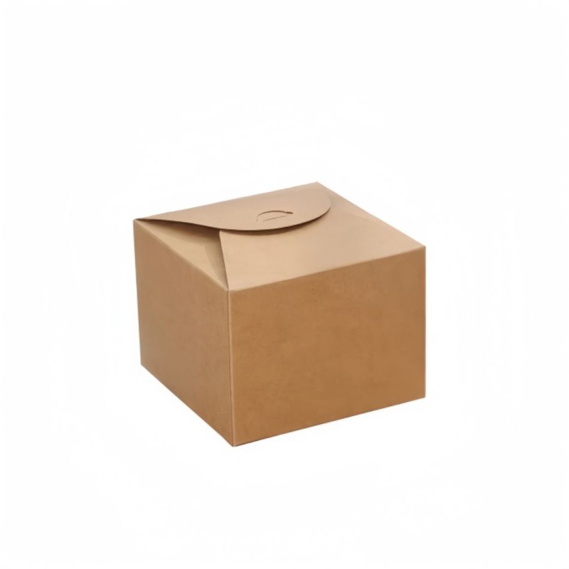 Custom Foldable Paper Packing Gift Box – Shopping Box and Gift Box price